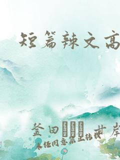 短篇辣文高h肉