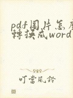 pdf图片怎么转换成word文档编辑