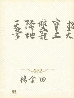 天降双宝 总裁爹地宠上天