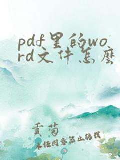 pdf里的word文件怎么打开