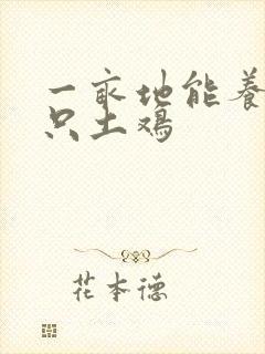 一亩地能养多少只土鸡
