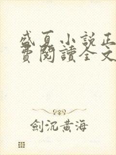 盛夏小说正版免费阅读全文无弹窗