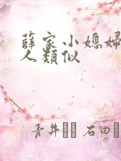 薛家小媳妇笑佳人类似