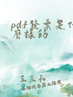 pdf发票是什么样的