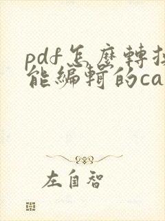 pdf怎么转换能编辑的cad图纸