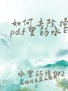 如何去除扫描王pdf里的水印