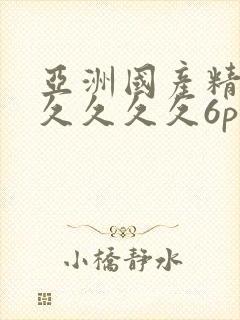亚洲国产精品久久久久久6p