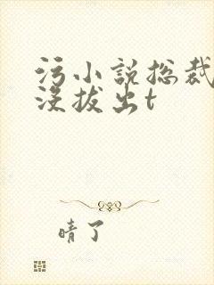 污小说总裁整夜没拔出t