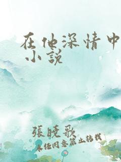 在他深情中陨落 小说
