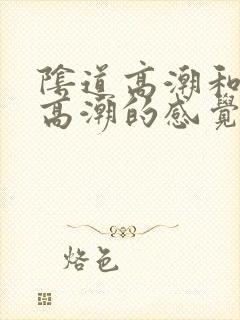 阴道高潮和阴蒂高潮的感觉一样吗