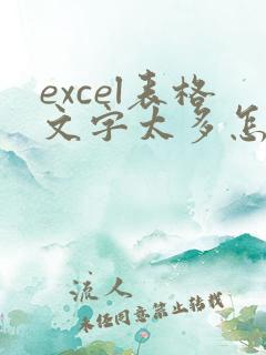 excel表格文字太多怎么转成两行