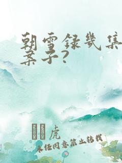 朝雪录几集一个案子?
