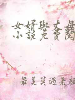 女婿与丈母娘的小说免费阅读