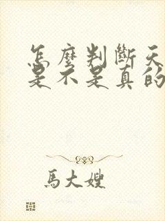 怎么判断天蝎男是不是真的爱你