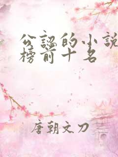 公认的小说排行榜前十名