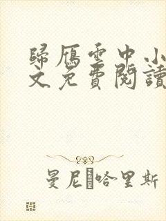 归雁云中小说全文免费阅读无弹窗