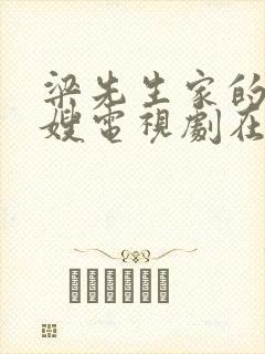 梁先生家的小月嫂电视剧在线观看全集