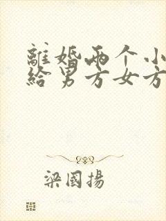 离婚两个小孩都给男方女方怎么出抚养费