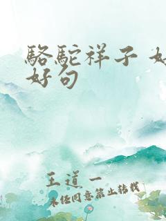 骆驼祥子 好词好句