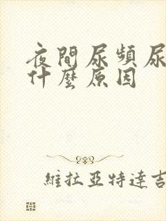 夜间尿频尿多是什么原因