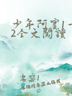 少年阿宾1一72全文阅读