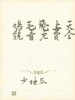 鸡毛飞上天在线观看免费全集高清