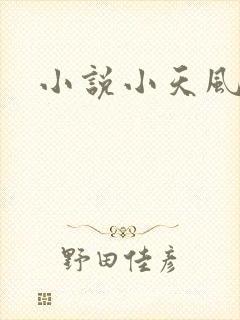 小说小天风流