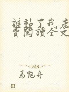 谁动了我老婆免费阅读全文