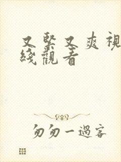 又紧又爽视频在线观看