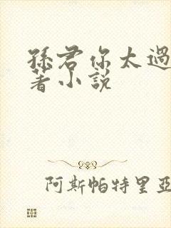 孙君你太过分原著小说