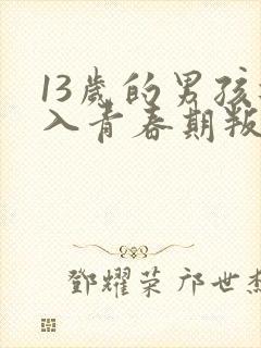 13岁的男孩进入青春期叛逆怎样管