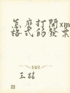 怎么打开xml格式的发票