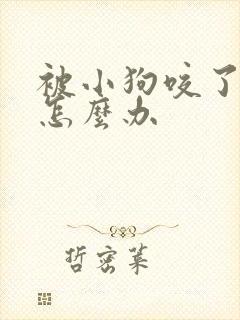 被小狗咬了一点怎么办