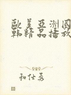 欧美亚洲国产日韩精品播放
