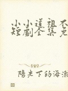 小小道祖不好惹短剧全集免费观看