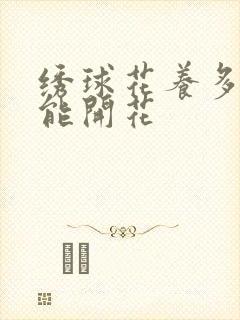 绣球花养多久才能开花
