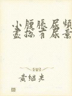 小腹胀尿频尿不尽总有尿意