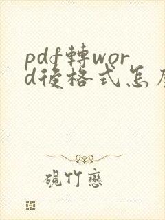 pdf转word后格式怎么调整