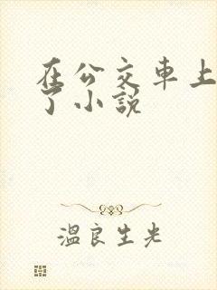 在公交车上被上了小说