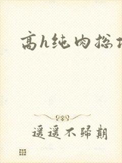 高h纯肉总攻