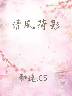 清风荷影