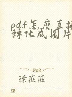 pdf怎么直接转化成图片