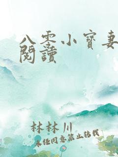 八零小宝妻免费阅读