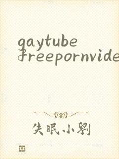 gaytubefreepornvideo