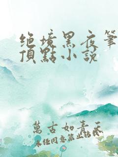 绝境黑夜笔趣阁顶点小说