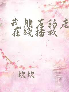我朋友的老姐3在线播放
