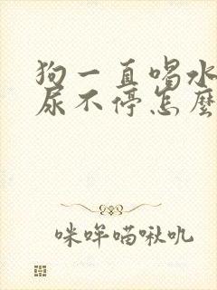 狗一直喝水一直尿不停怎么回事
