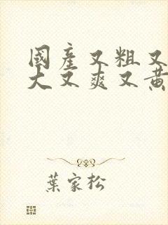 国产又粗又长又大又爽又黄视频
