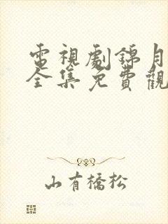 电视剧锦月如歌全集免费观看