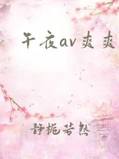午夜av爽爽爽